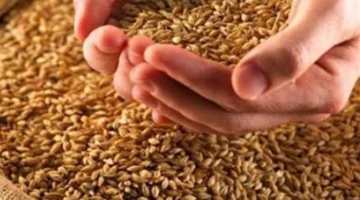 ما هي المصارف الشرعية الثمانية المحددة لاستحقاق زكاة الفطر لعام 1447 هجريًا؟